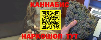 прущие грибы Бердск