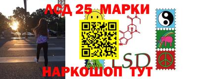 прущие грибы Бердск