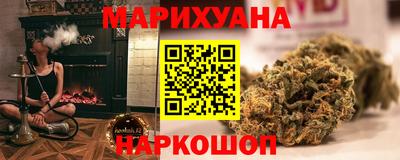 прущие грибы Бердск