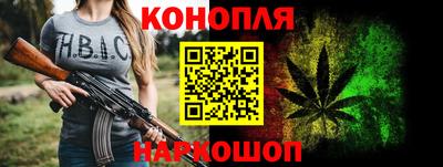 прущие грибы Бердск