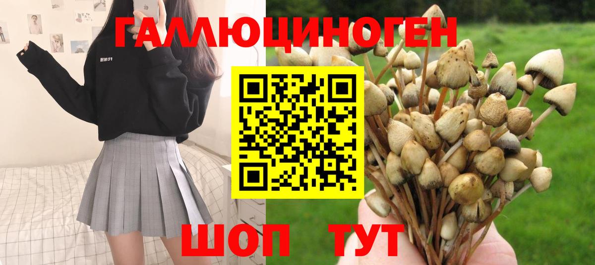 Псилоцибиновые грибы Cubensis  Вход с VPN  Соликамск  где продают   Галлюциногенные грибы мицелий 